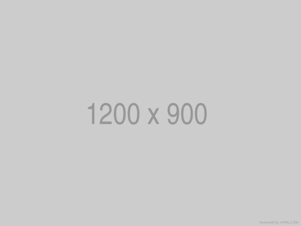 Fabric Sofa - Image 4